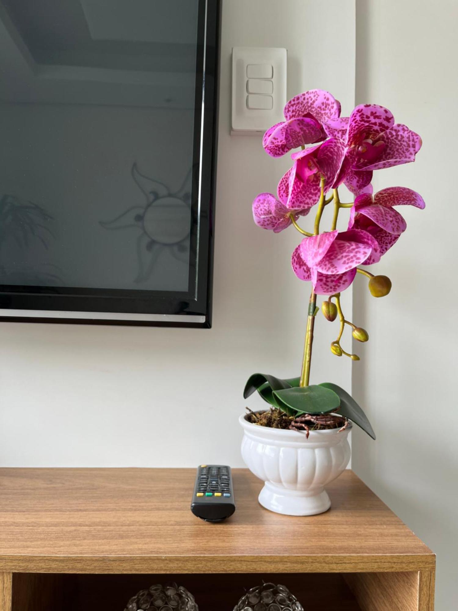 Apartamento Praia Guarujá Dış mekan fotoğraf